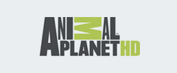 Animal Planet-Logo