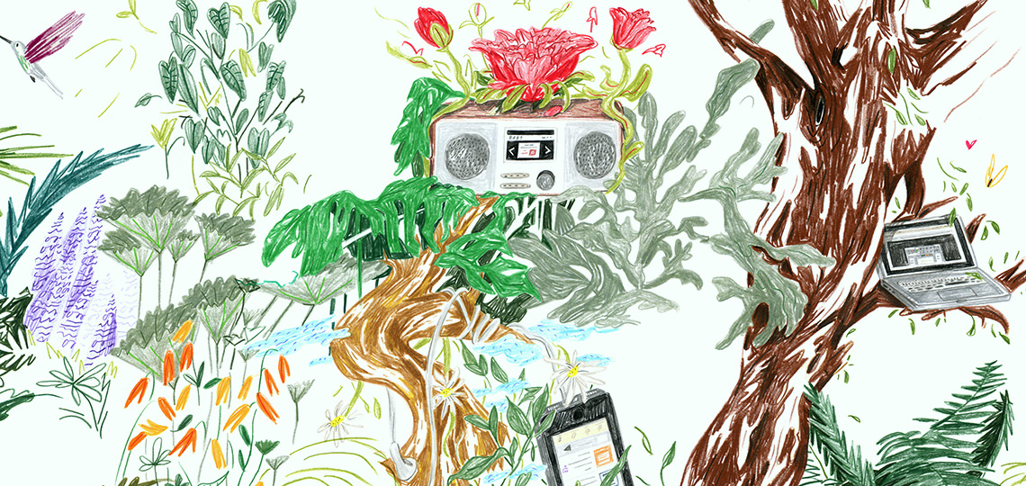 Radio-logischer Evolutionsprozess