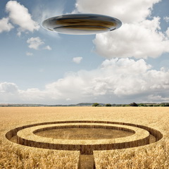 Ufo landet in Getreidefeld; 