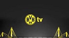 Senderlogo von BVB TV