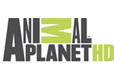 Senderlogo von Animal Planet