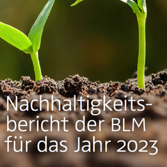 keimende Pflanzen - Visual zum Nachhaltigkeitsbericht der BLM